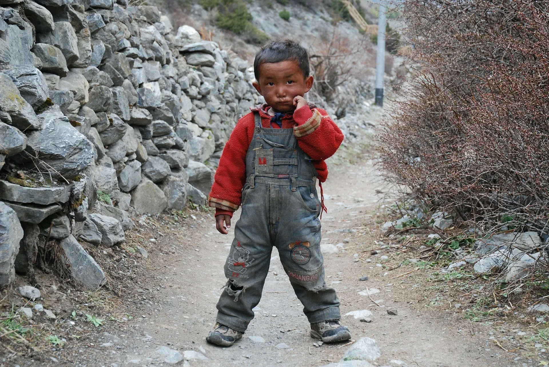 Trekker on the Annapurna Circuit trail