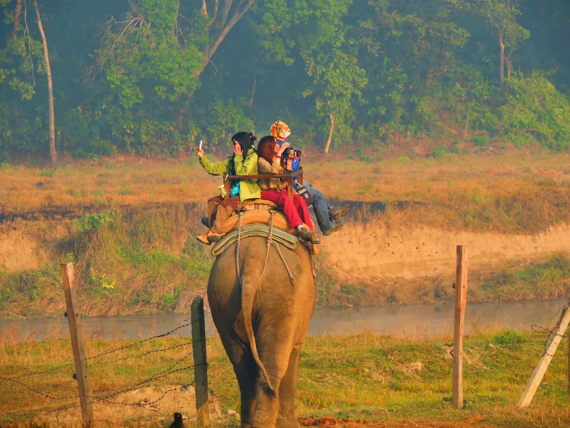 Elephant safari through Chitwan National Park jungle