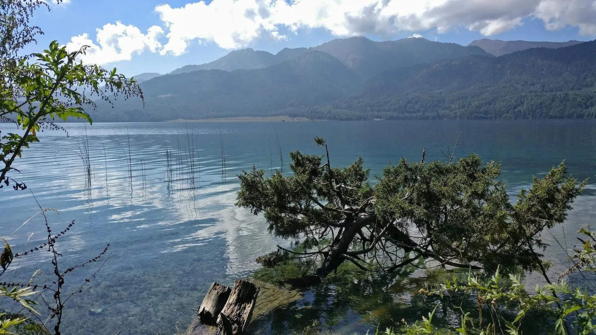 Mirror-calm surface of Rara Lake, Nepal's largest